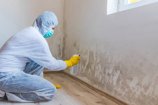 Licensed Crawl Space Mold Removal service in Arlington, VA - WQB Mold Removal