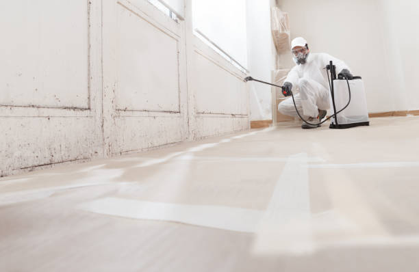 24/7 Emergency Crawl Space Mold Removal experts in Arlington, VA