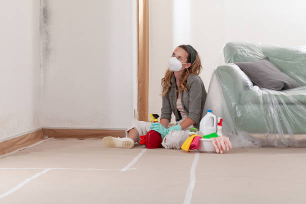 Reliable Crawl Space Mold Removal contractor in Arlington, VA by WQB Mold Removal